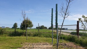 PEG LADDER